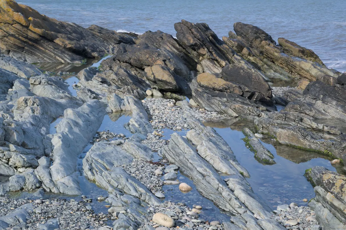 A Local's Guide to Rockpooling on UK Beaches: Tide Times, Kit and Etiquette